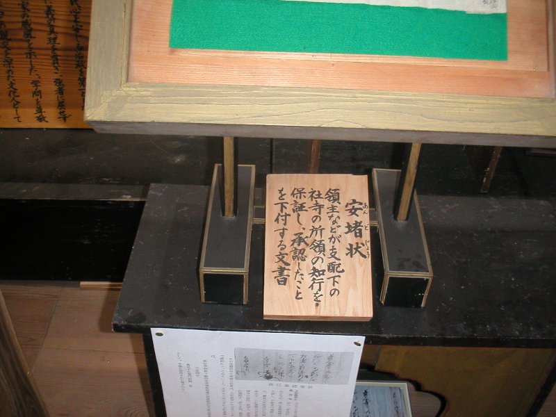 hasedera045