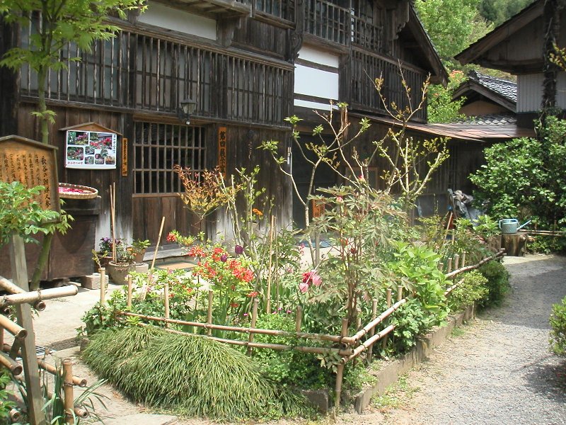 hasedera046