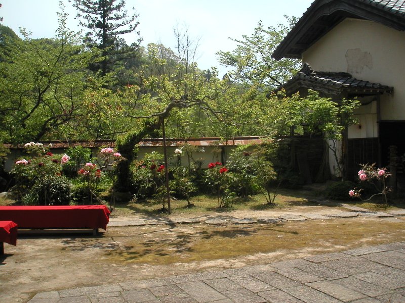 hasedera071