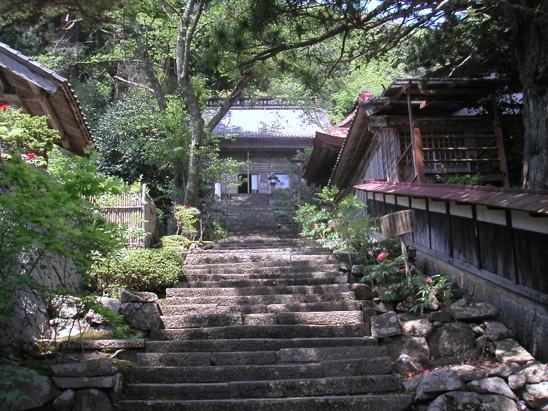 hasedera076