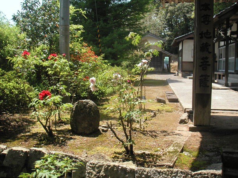 hasedera078