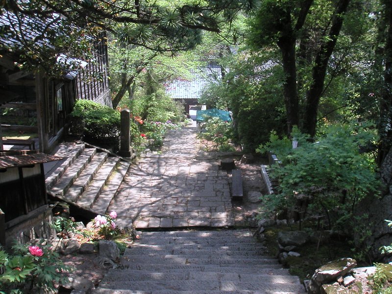 hasedera079