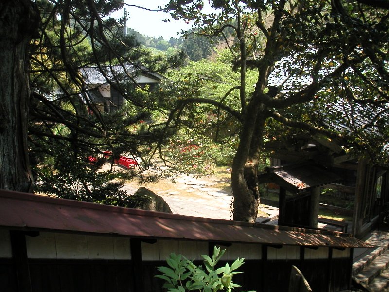 hasedera080