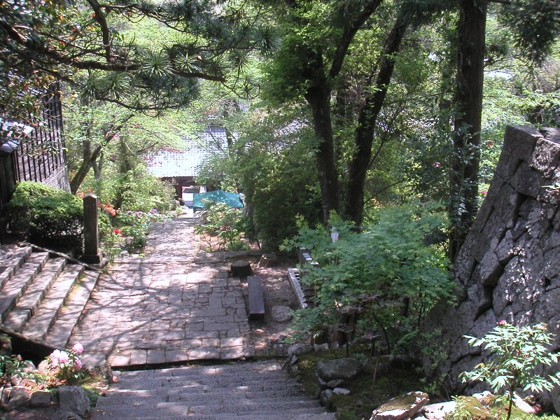 hasedera081