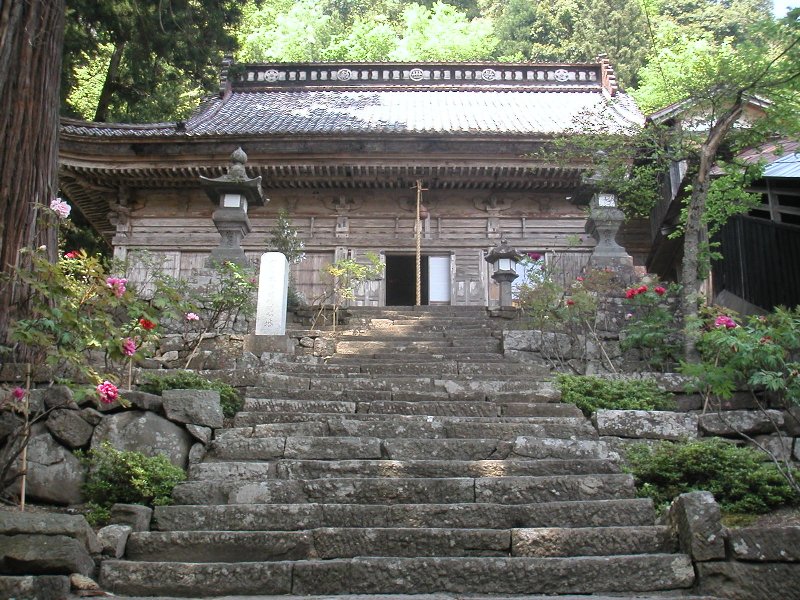 hasedera082