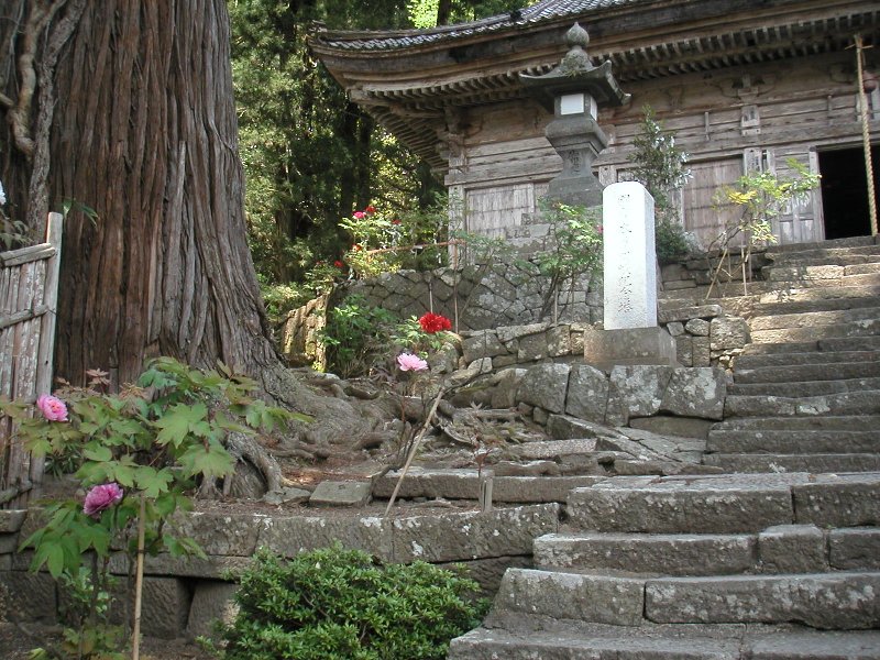 hasedera083