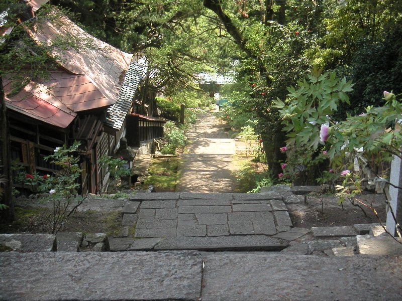 hasedera089