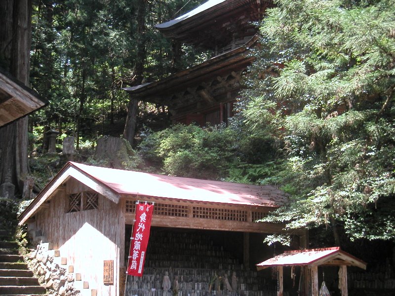 hasedera090