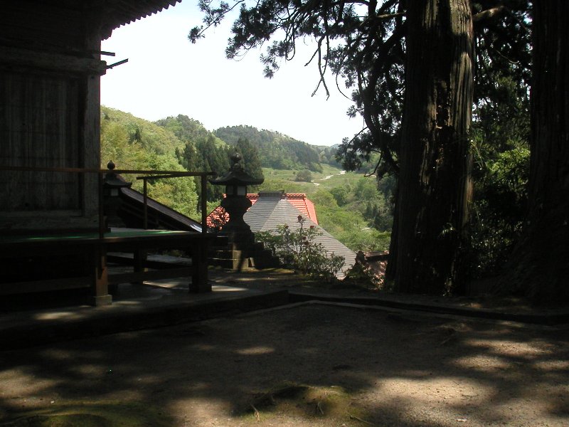 hasedera098