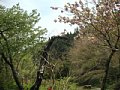 html/hasedera035.html