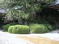 html/hasedera069.html