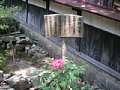 html/hasedera077.html