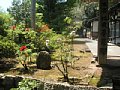 html/hasedera078.html
