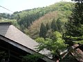 html/hasedera088.html