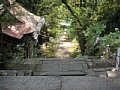 html/hasedera089.html
