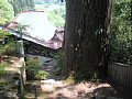 html/hasedera091.html