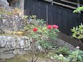 html/hasedera095.html