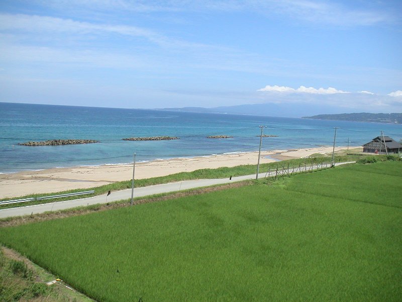 ogi002
