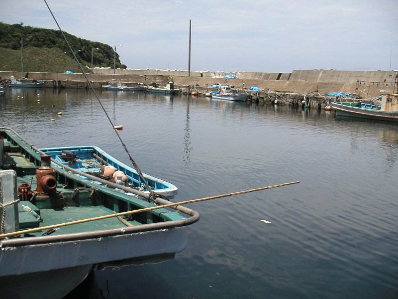 ogi009