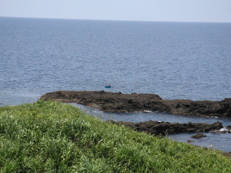 ogi019