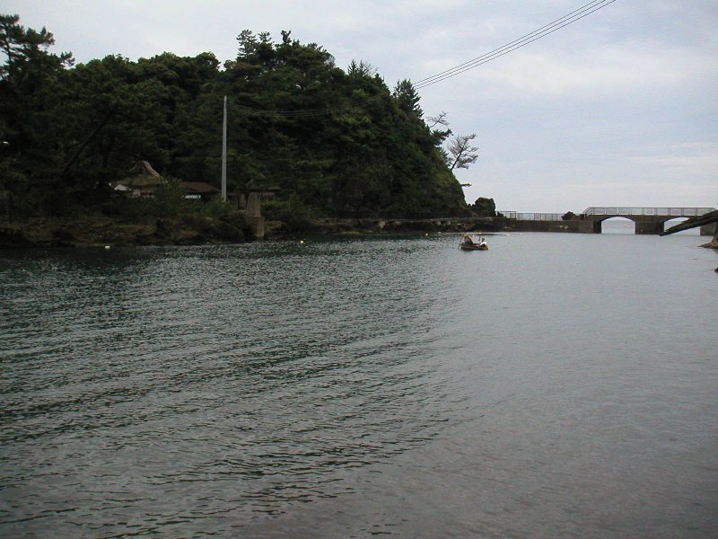 ogi049